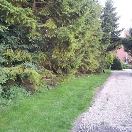Wolds Glamping